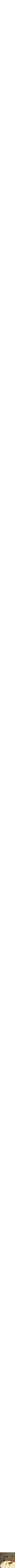 Assorti