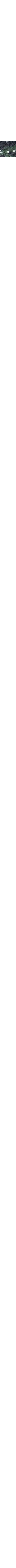 Noir à motifs