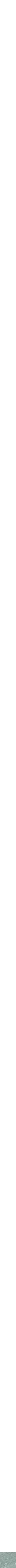 Vert à motifs