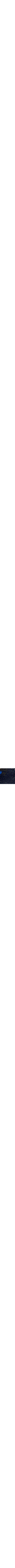 Patterned Navy