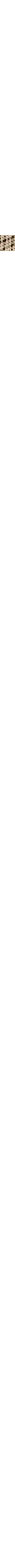 Patterned Ecru
