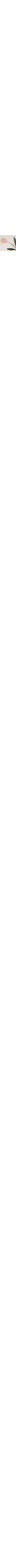 Patterned Ecru