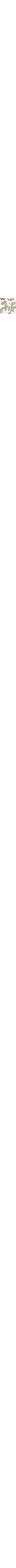 Blanc à motifs