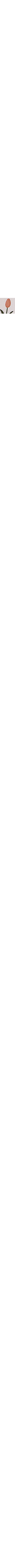 Blanc à motifs
