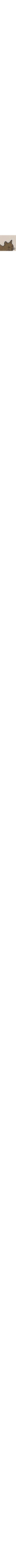 Écru à motifs