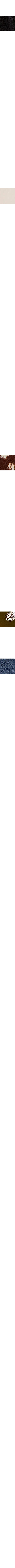 Brun à motifs