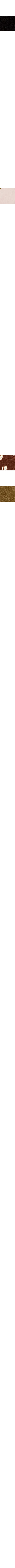 Brun à motifs