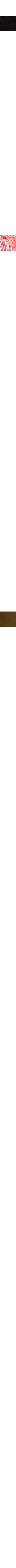 Écru à motifs