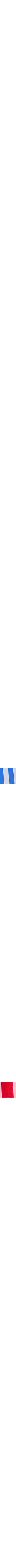 Bleu à motifs