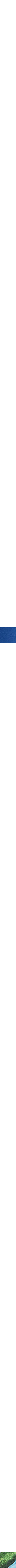 Assorti