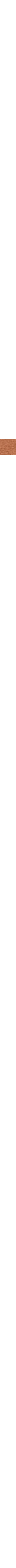 Cuivre - Rouille