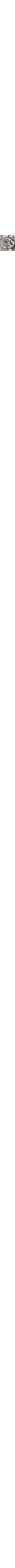 Patterned Ecru