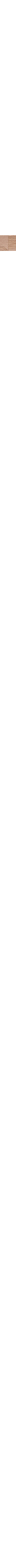 Patterned Ecru