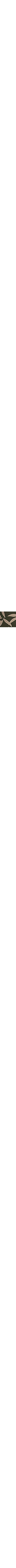 Vert à motifs