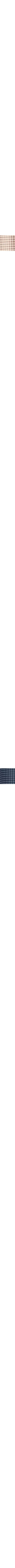 Taupe à motifs