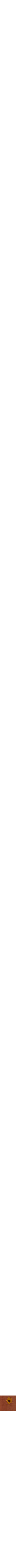 Orange à motifs