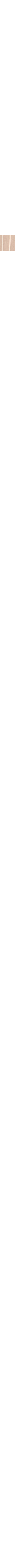 Patterned Ecru