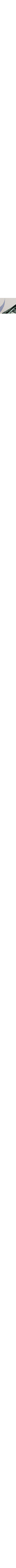 Blanc à motifs