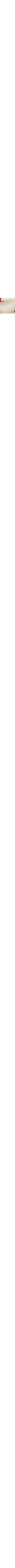 Blanc à motifs