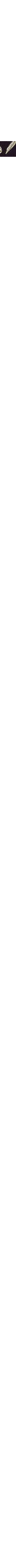 Noir à motifs