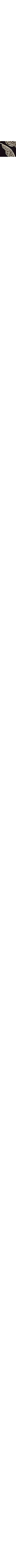 Noir à motifs