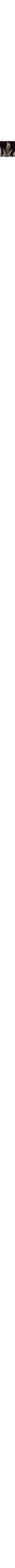 Noir à motifs