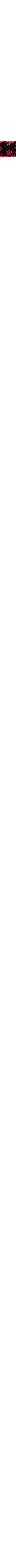 Noir à motifs