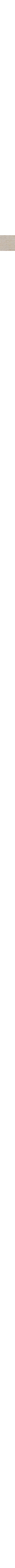 Écru à motifs