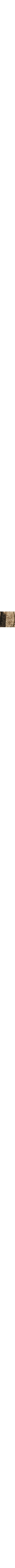 Vert à motifs