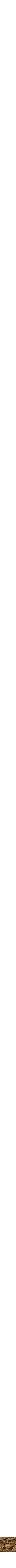 Assorti
