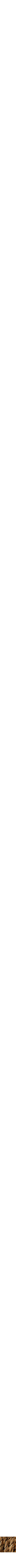 Assorti