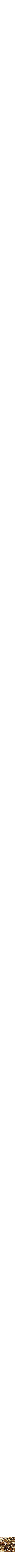 Assorti