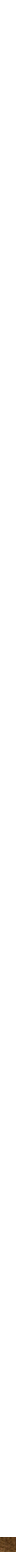 Assorti
