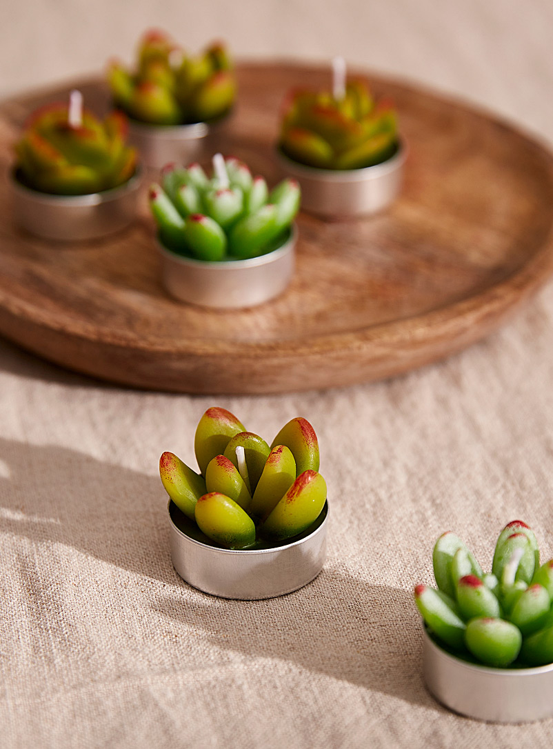 Simons Maison Green Small succulents candles Set of 6