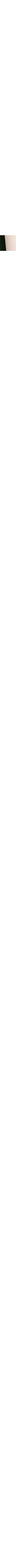 Patterned Ecru
