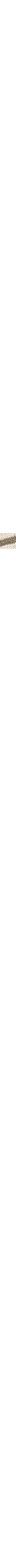 Vert à motifs
