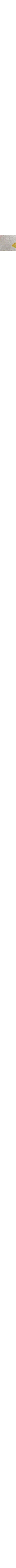 Patterned Ecru