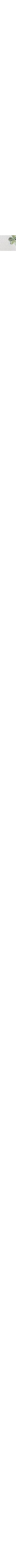 Écru à motifs
