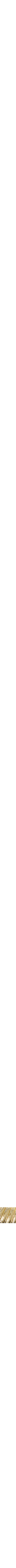 Assorti