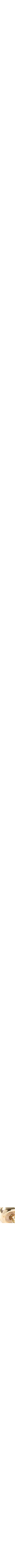 Assorti
