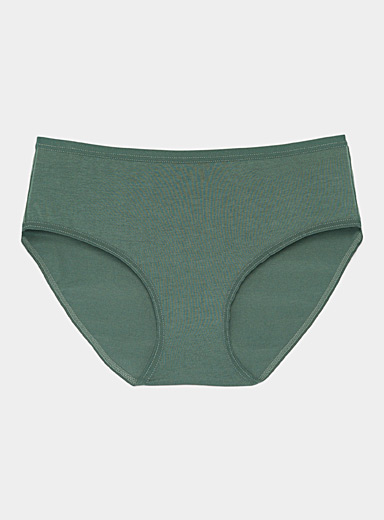 Miiyu Organic Cotton And Modal Essential Bikini Panty Plus Size in