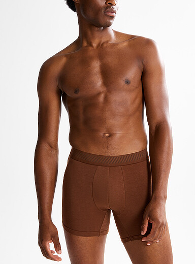 Le 31: Le boxeur long extensible ton neutre 5 po Modal TENCEL<sup><small>MC</small></sup> et coton biologique Bronze - Ambre pour homme