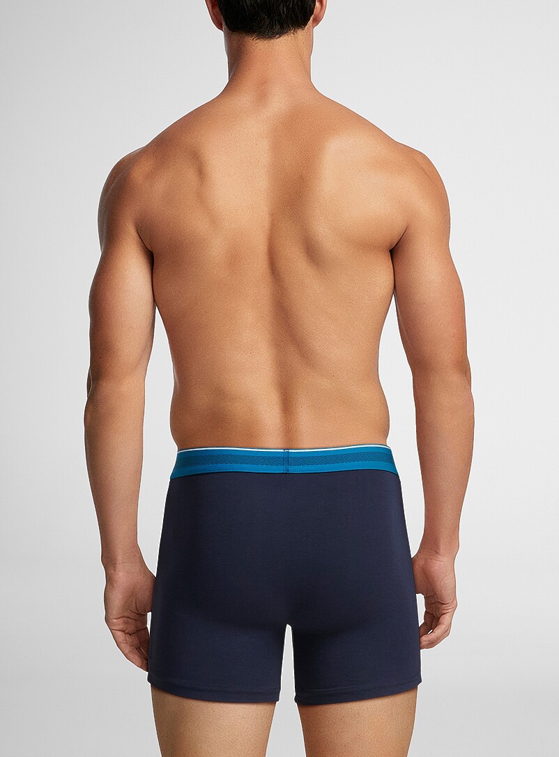 4" striped-waist boxer briefs TENCEL™ modal & organic cotton 3-pack product image 3
