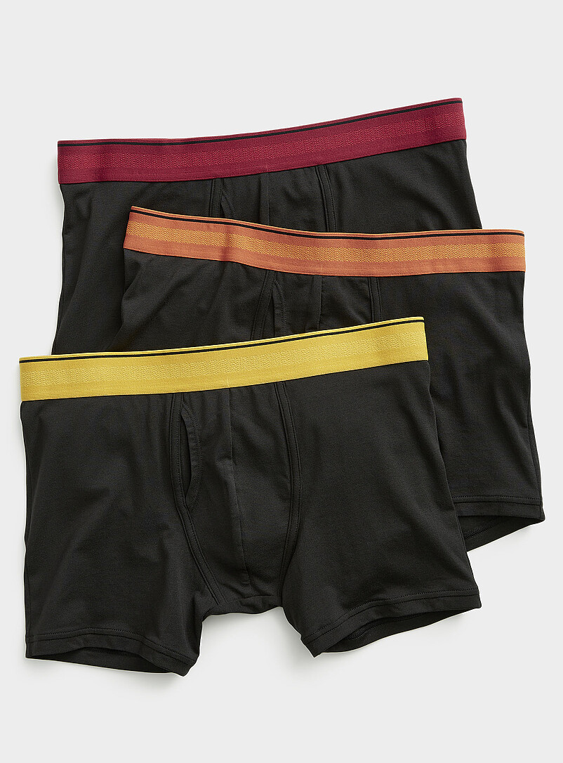 4" Striped-Waist Boxer Briefs Tencel™ Modal & Organic Cotton 3-Pack