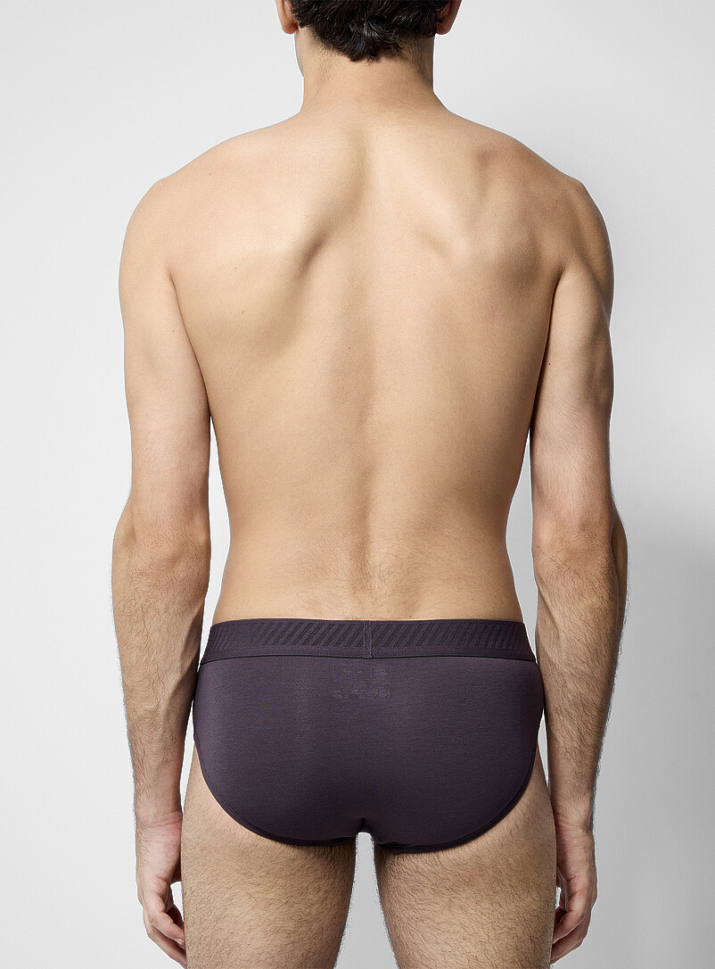 Neutral-hued stretch brief TENCEL™ modal & organic cotton product image 2