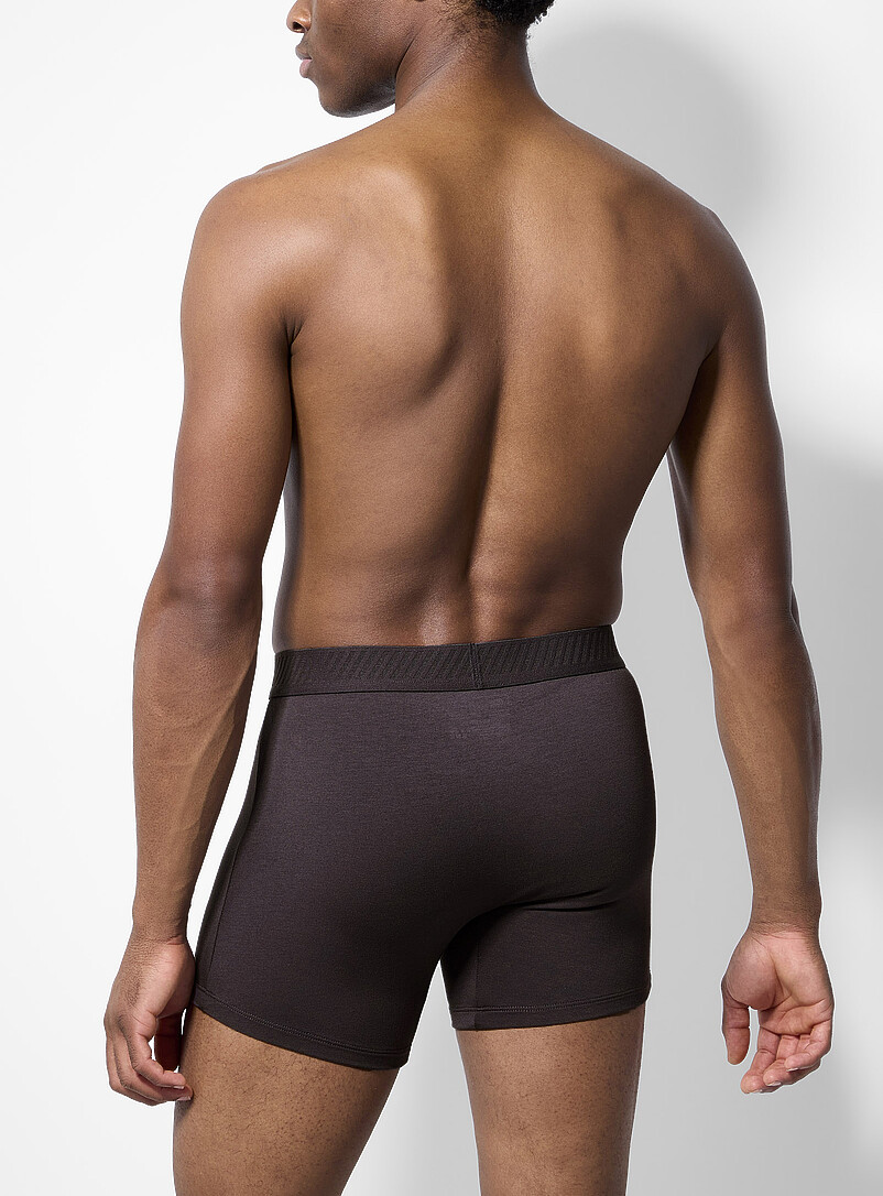 5" neutral-hued stretch boxer brief TENCEL™ modal & organic cotton product image 2