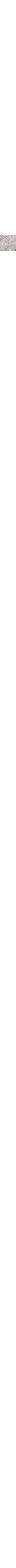 Patterned Ecru