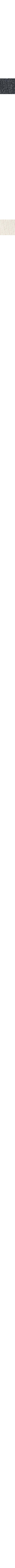 Ecru/Linen