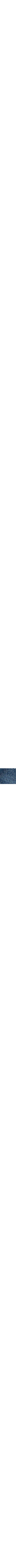 Blue Stripes