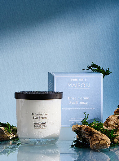 La bougie parfum&eacute;e Brise marine